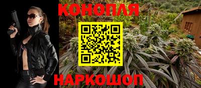 прущие грибы Можга