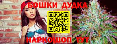 спиды Моздок