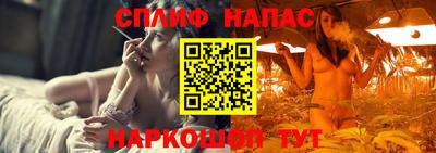 прущие грибы Можга