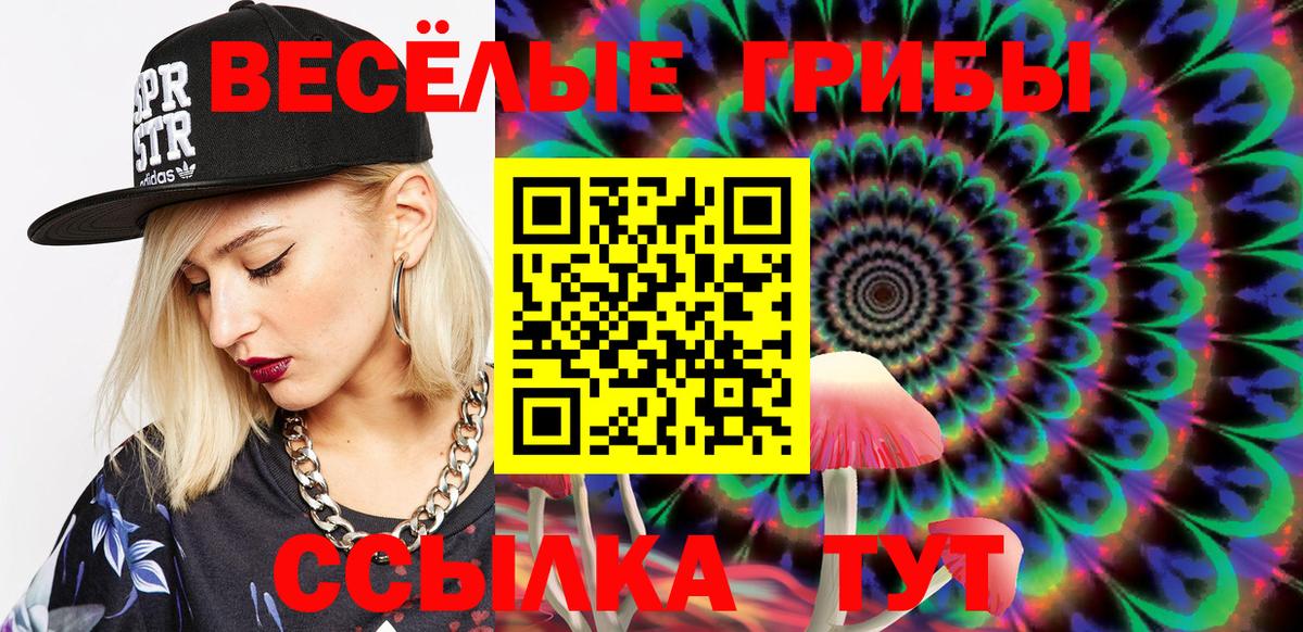 Истра  Псилоцибиновые грибы Psilocybine cubensis  Вход с VPN 