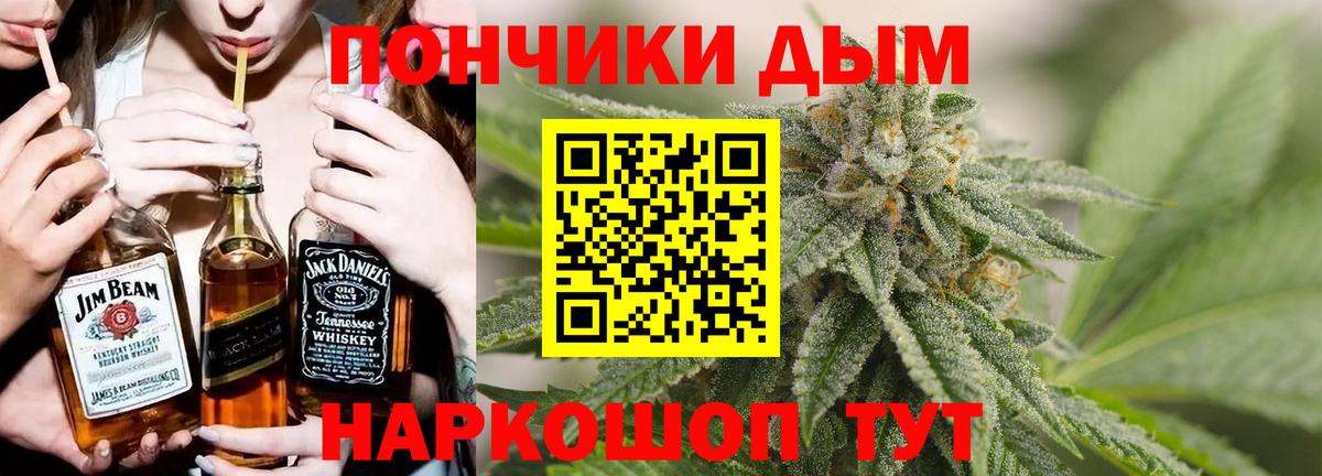 Бошки Шишки планчик Истра